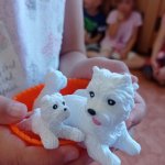 phoca_thumb_m_hrakov den 27 Fotogalerie